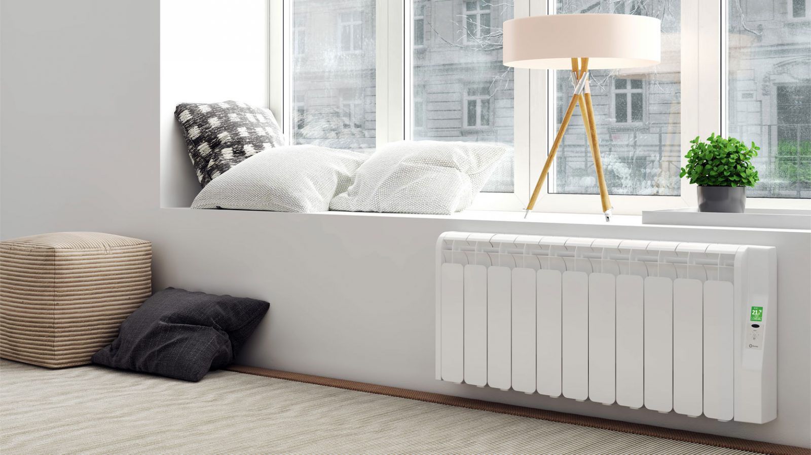 Odoo • Text and Image